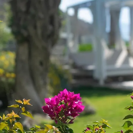 Bodrum Infinity 图尔古特雷斯