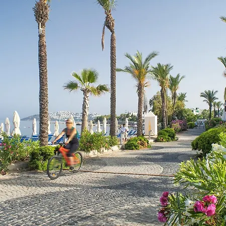 Villa Bodrum Infinity *