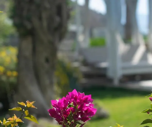 Bodrum Infinity Turgutreis